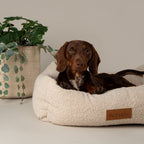 Scruffs Boucle Ivory Dog Bed