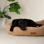 Scruffs Boucle Desert Tan Dog Bed
