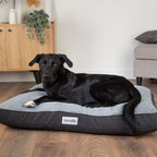 Scruffs Harvard Graphite Grey Memory Foam Orthopeadic Dog Mattress