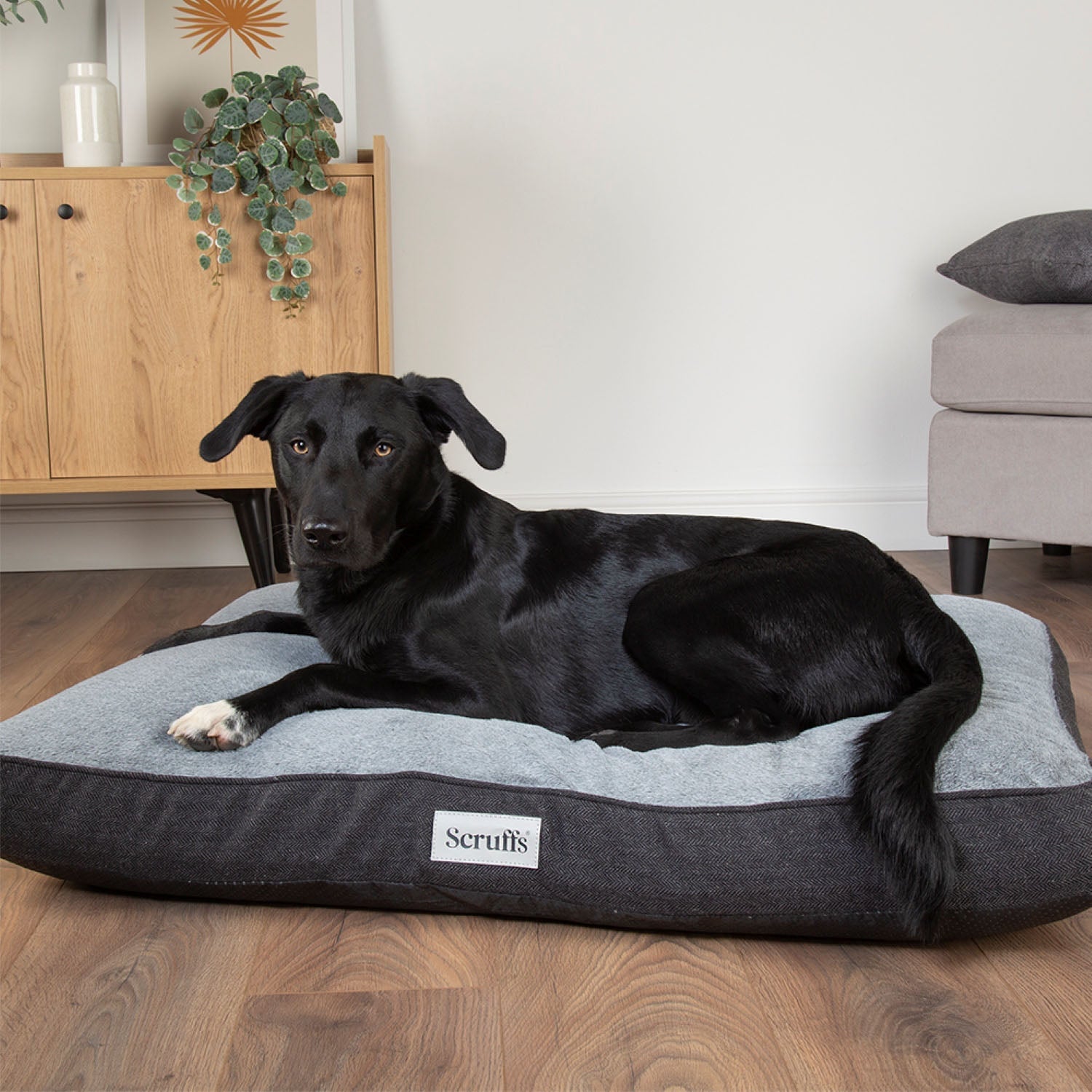 Scruffs Harvard Graphite Grey Memory Foam Orthopeadic Dog Mattress