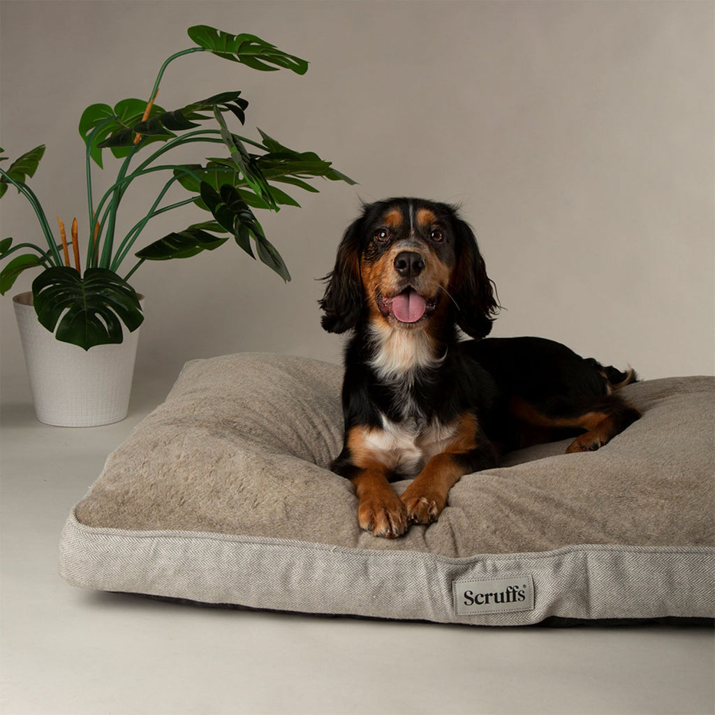 Scruffs Harvard Pearl Grey Memory Foam Orthopeadic Dog Mattress
