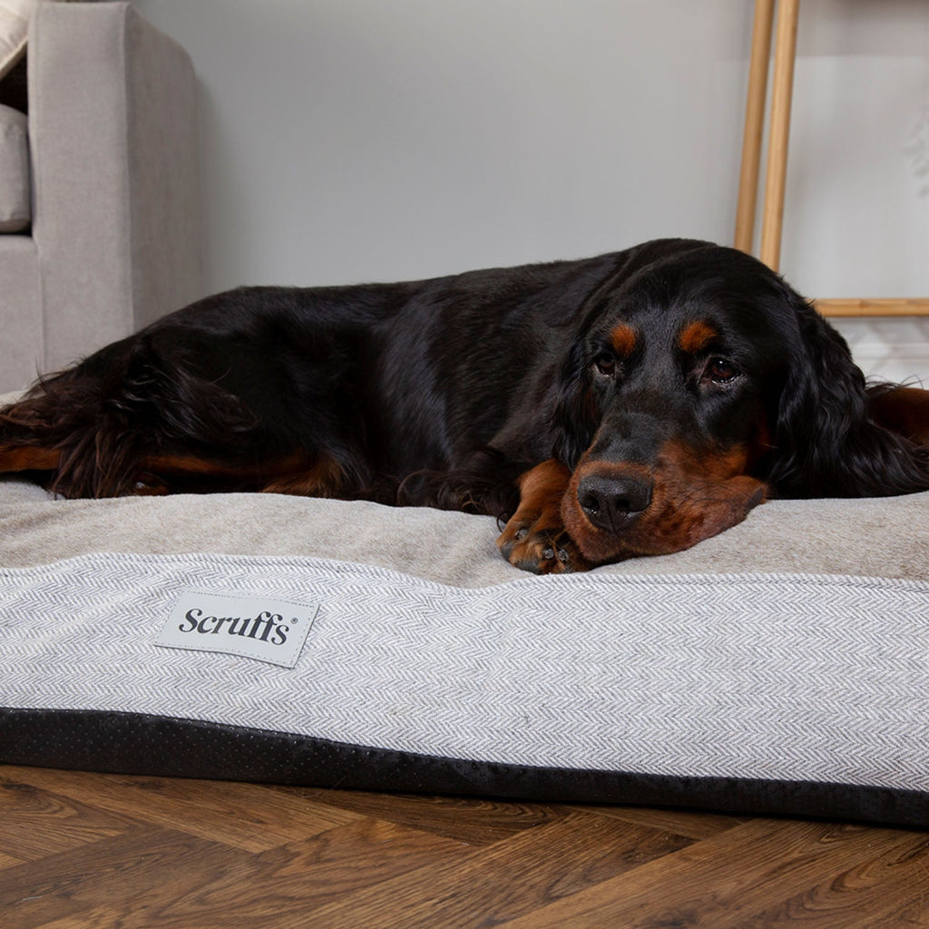 Scruffs Harvard Pearl Grey Memory Foam Orthopeadic Dog Mattress