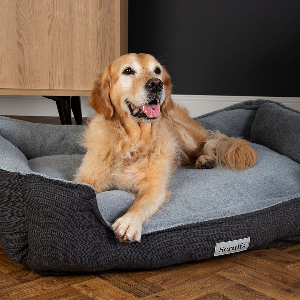 Scruffs Harvard Graphite Memory Foam Water Resistant Box Dog Bed