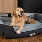 Scruffs Harvard Graphite Memory Foam Water Resistant Box Dog Bed