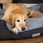 Scruffs Harvard Graphite Memory Foam Water Resistant Box Dog Bed