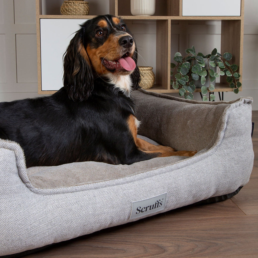 Scruffs Harvard Pearl Grey Memory Foam Water Resistant Box Dog Bed