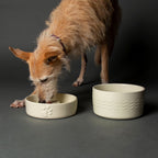 Scruffs Icon Cream Slow Feeder & Drink Bowl Set For Dogs