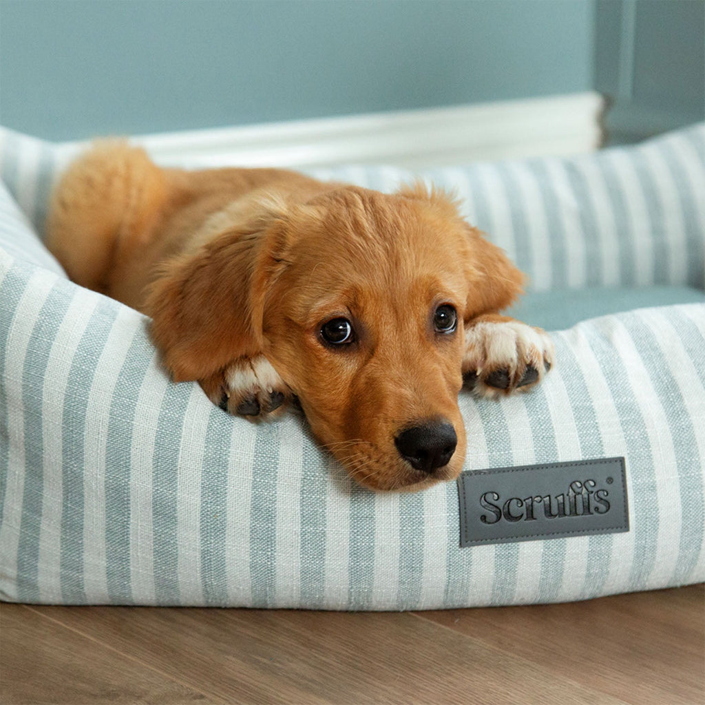 Scruffs Coastal Green Stripe Pet Dog Bed