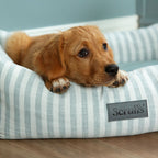 Scruffs Coastal Green Stripe Pet Dog Bed