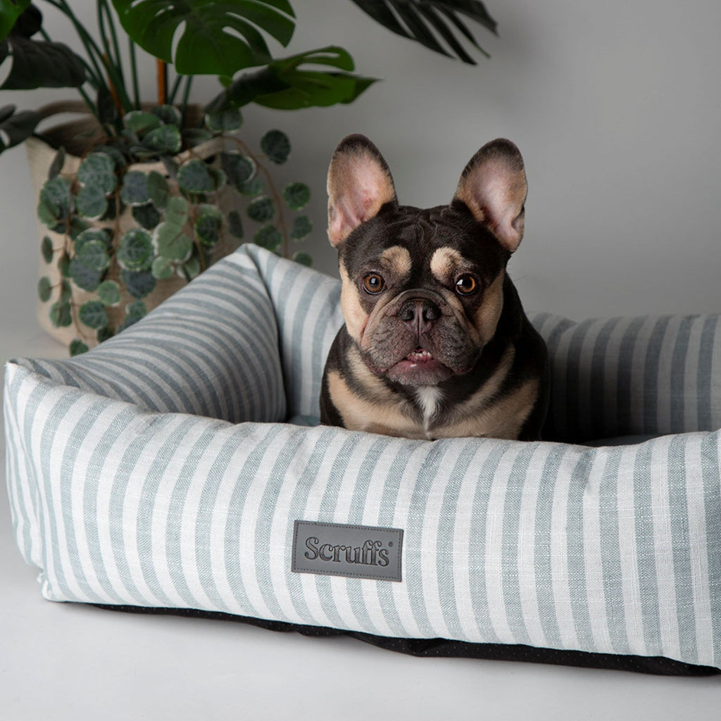 Scruffs Coastal Green Stripe Pet Dog Bed