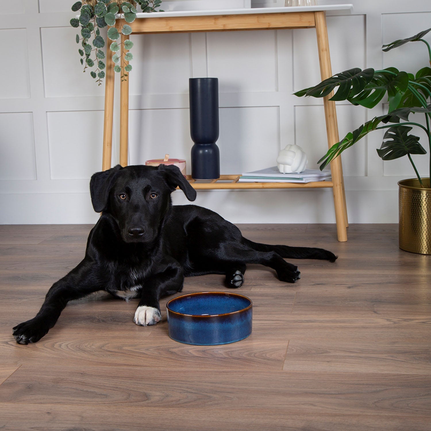 Scruffs Ceramic Heavy Duty Midnight Blue Reactive Glaze Dog Bowls (2pc Set)