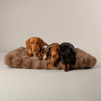 Scruffs Alpine Taupe Dog Mattress