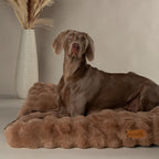Scruffs Alpine Taupe Dog Mattress