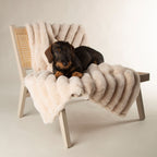 Scruffs Aspen Cream Faux Fur Pet Blanket
