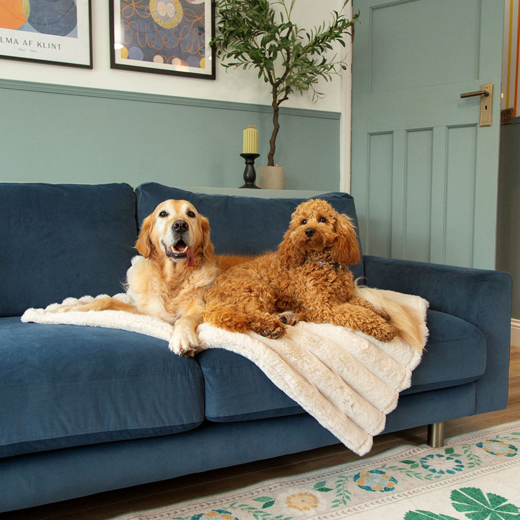 Scruffs Aspen Cream Faux Fur Pet Blanket