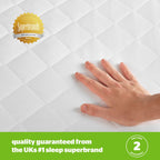 Silentnight Anti Allergy Mattress Protector