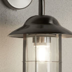 Satin Silver Clear Glass Outdoor Pendant Wall Light