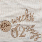 Wooden Pregnancy & Baby Milestone Signs- 5 Inner Pack