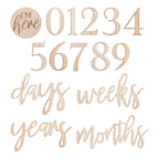 Wooden Pregnancy & Baby Milestone Signs- 5 Inner Pack