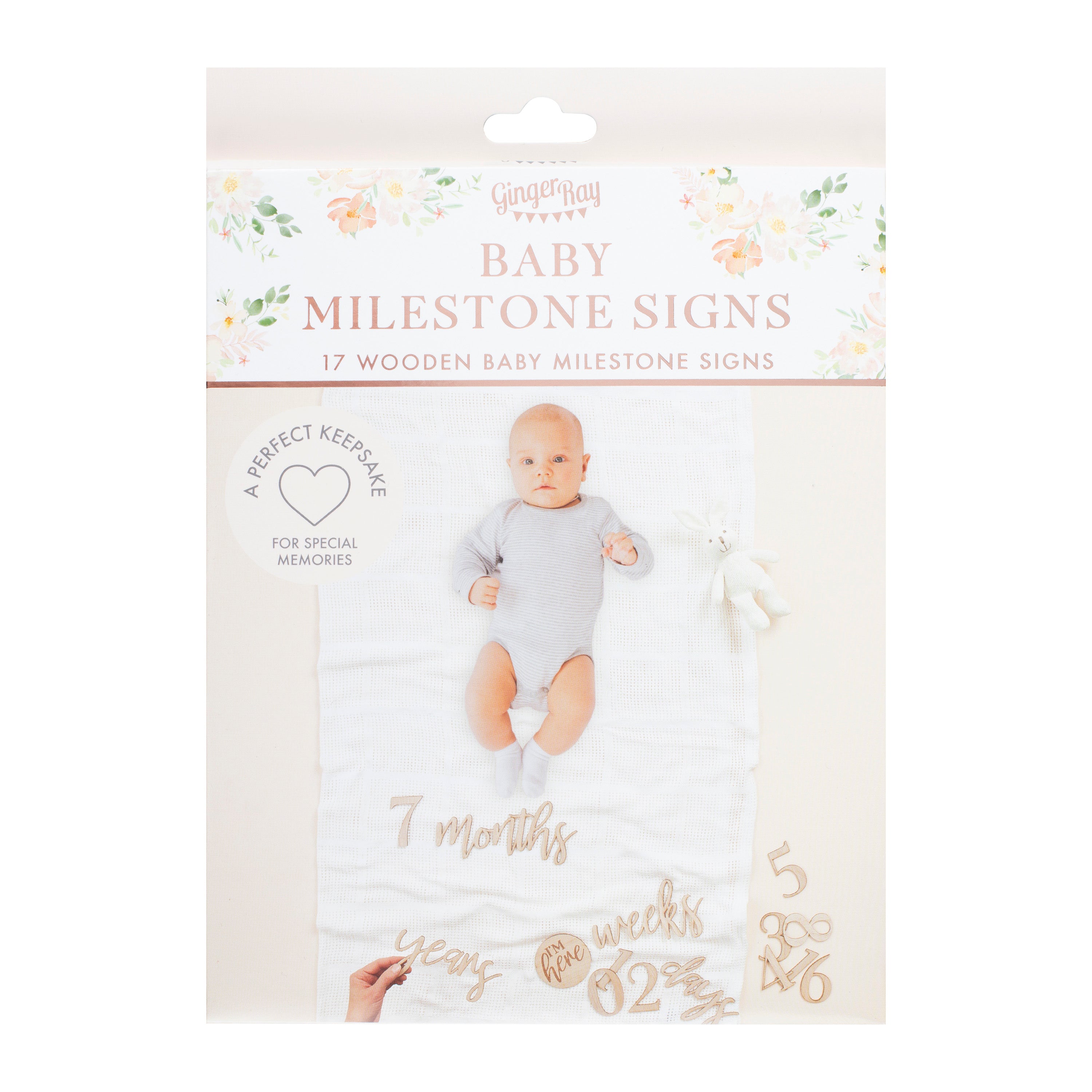 Wooden Pregnancy & Baby Milestone Signs