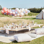 Blush, Nude & Blue Hen Party Balloon Arch Kit- 5 Inner Pack