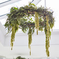 Hanging Chandelier Wedding Hoop