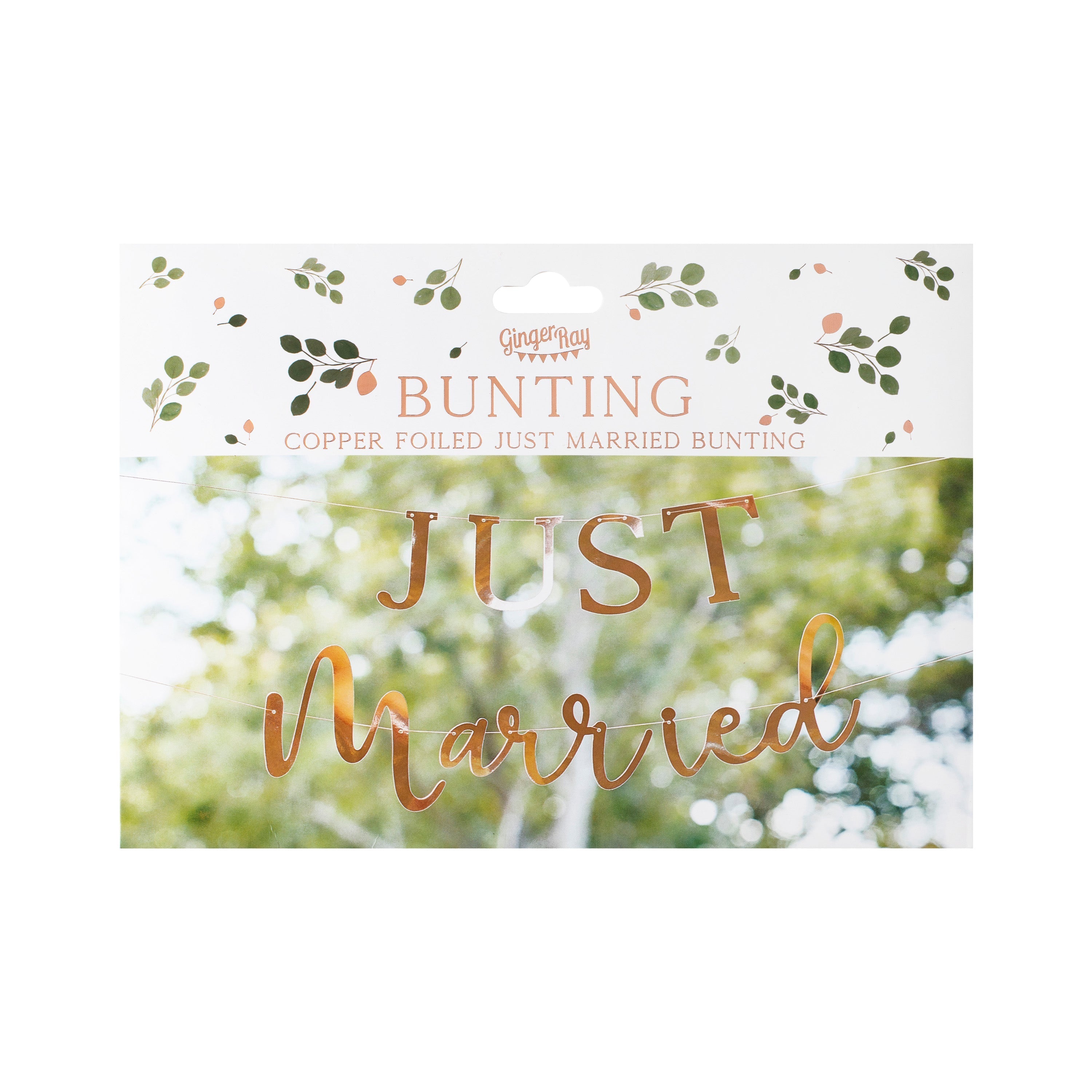 Rose Gold Scripted Just Married Banner- 5 Inner Pack