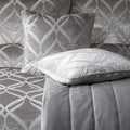 Belfort Silver Velvet Cushion (43cm x 43cm)