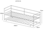 Catton Minimalistic Black Metal Day Bed Frame with Trundle