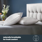 Silentnight Duck Feather And Down Anti Allergy Pillow Pair (Medium Support)