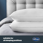 Silentnight Duck Feather And Down Anti Allergy Pillow Pair (Medium Support)