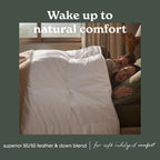 Sleepeezee Natural Comfort Cotton Feather and Down Duvet 10.5 Tog