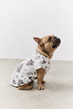 Cream Christmas Tree Matching Dog Coat