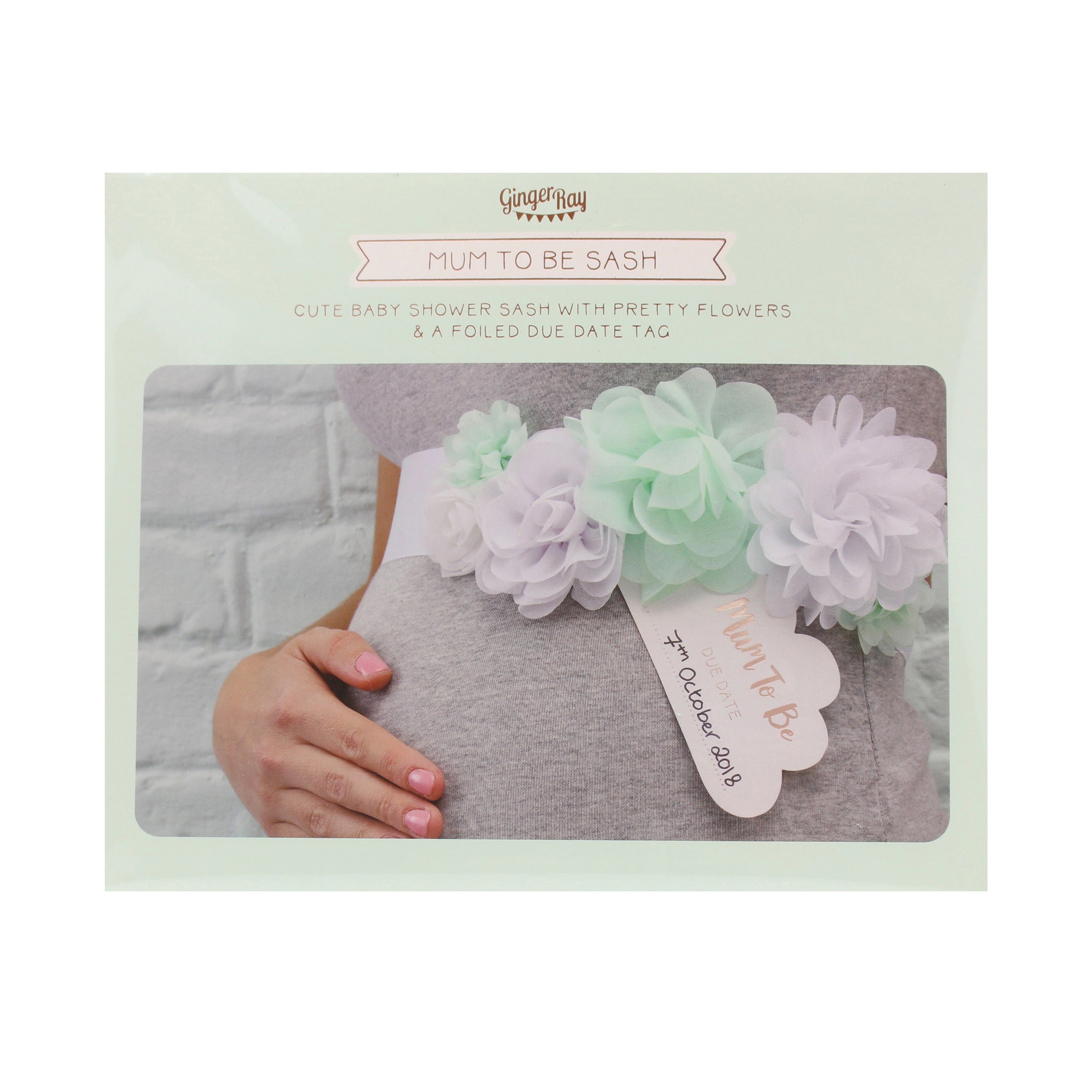 Hello World Baby Shower Bump Mummy To Be Sash- 10 Inner Pack