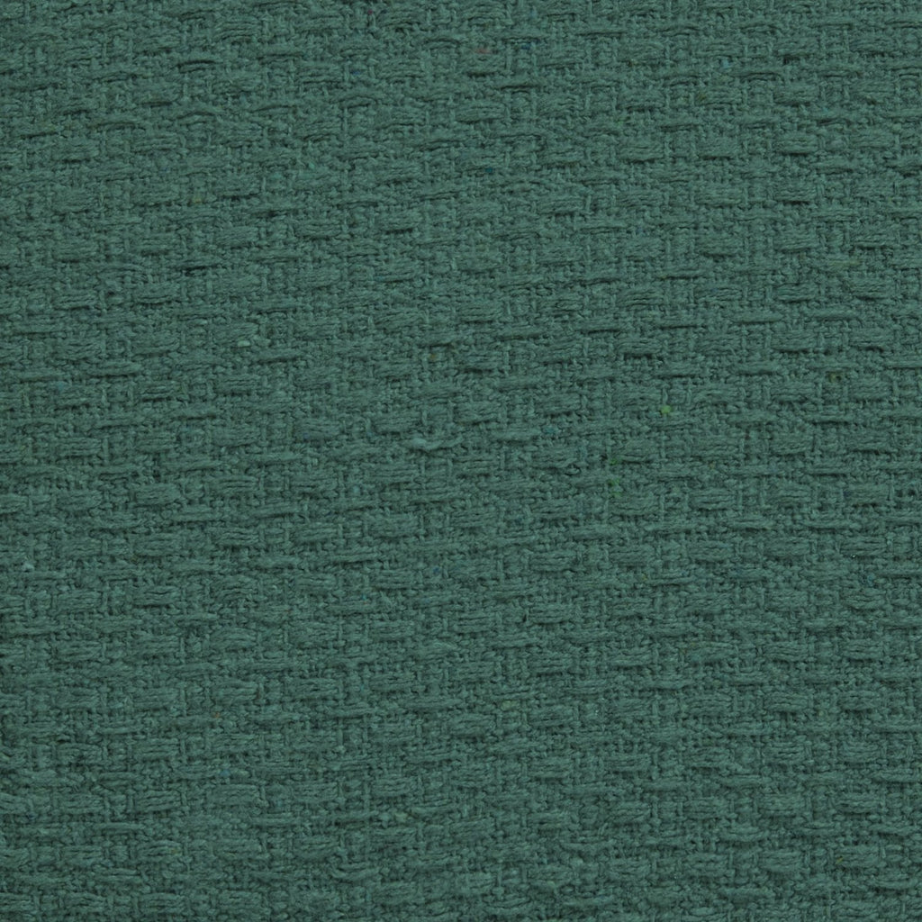 Hayden Green Cotton Cushion (43cm x 43cm)
