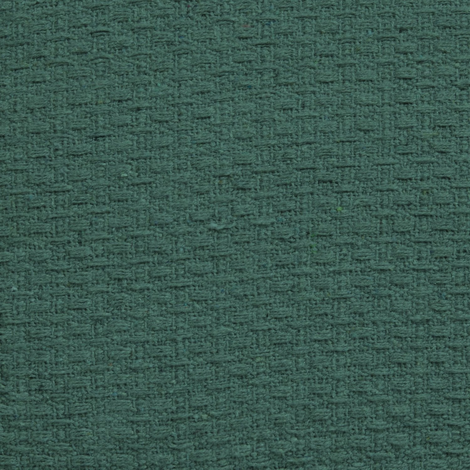 Hayden Green Cotton Cushion (43cm x 43cm)