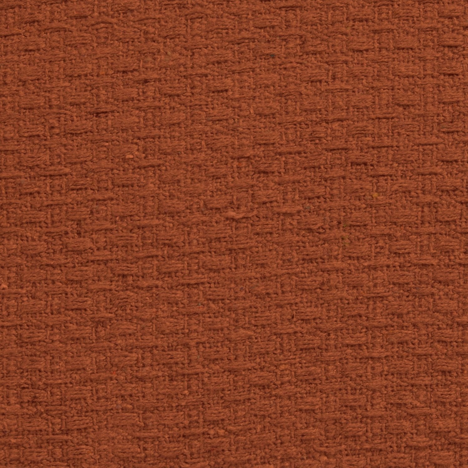 Hayden Terracotta Cotton Cushion (43cm x 43cm)