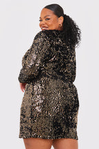 Velvet Sequin Mini Dress