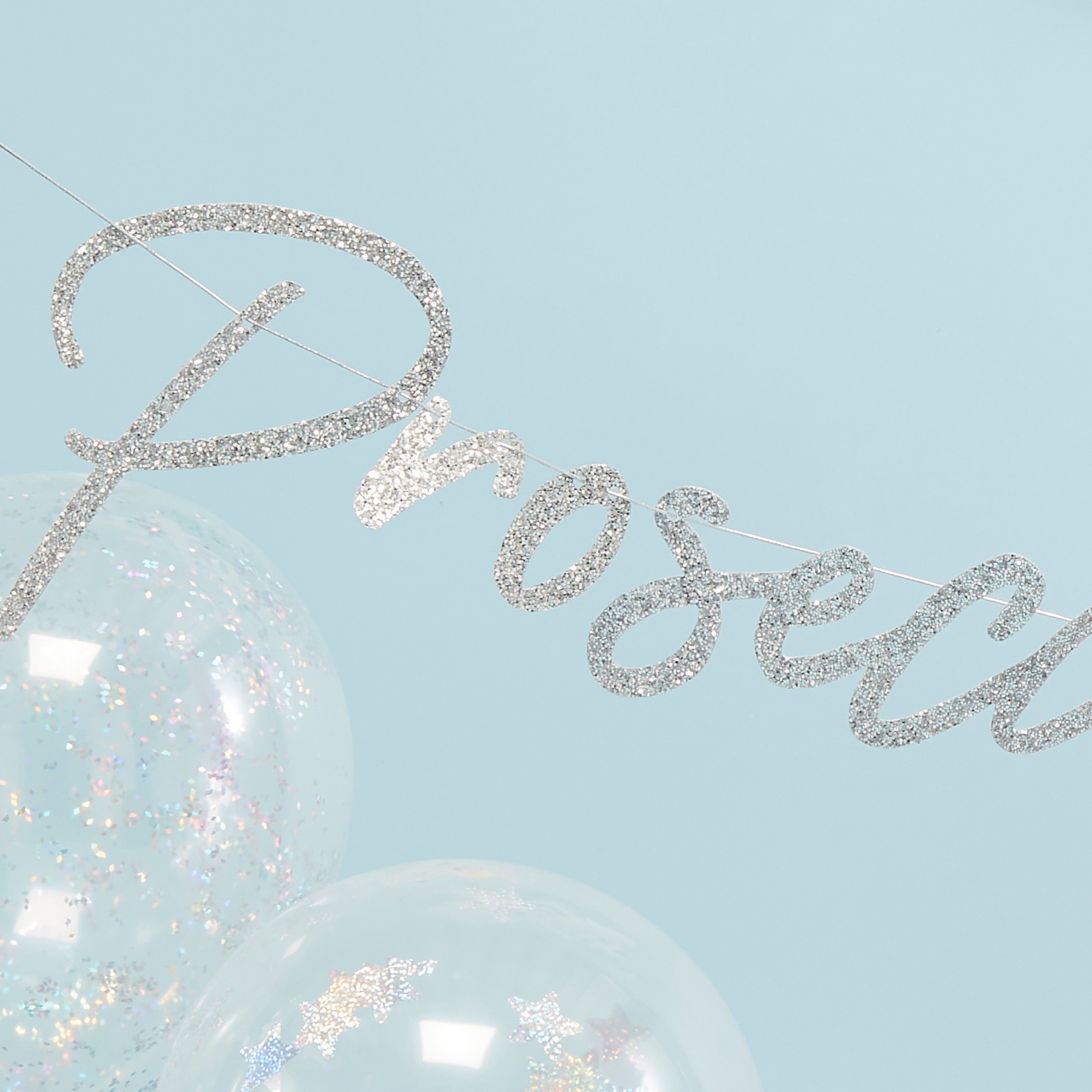 Iridescent Prosecco Ho Ho Bunting - Jolly Vibes- 10 Inner Pack