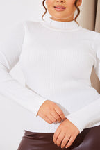 High Neck Variegated Rib Knit Top
