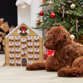 Fill Your Own Dog Advent Calendar- 5 Inner Pack