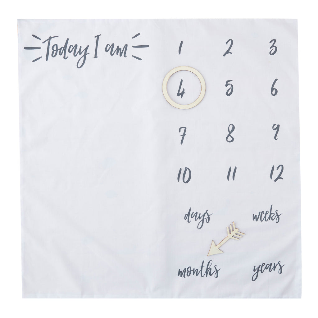 Baby Milestone Blanket Keepsake- 10 Inner Pack