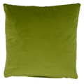 Opulence Sage Green Velvet Cushion (50cm x 50cm)