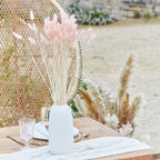 Soft Pink Bunny Tail Pampas Grass- 5 Inner Pack
