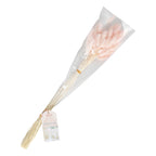 Soft Pink Bunny Tail Pampas Grass- 5 Inner Pack