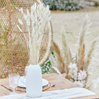 Natural Off White Bunny Tail Pampas Grass- 5 Inner Pack