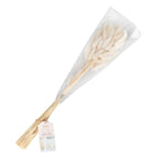 Natural Off White Bunny Tail Pampas Grass- 5 Inner Pack