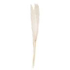 Bleached Pampas Grass Decorations