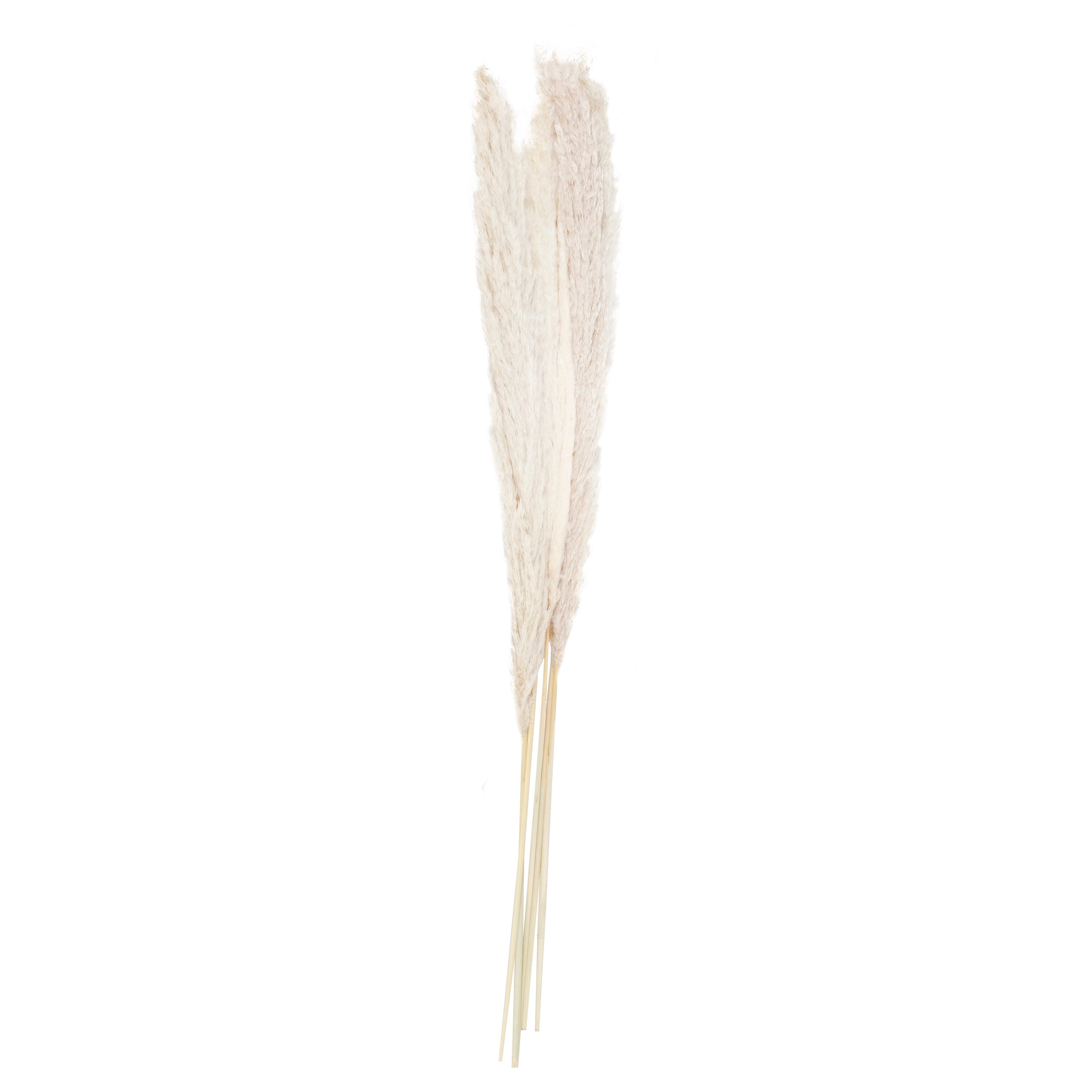 Bleached Pampas Grass Decorations