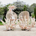 Bleached Pampas Grass Decorations